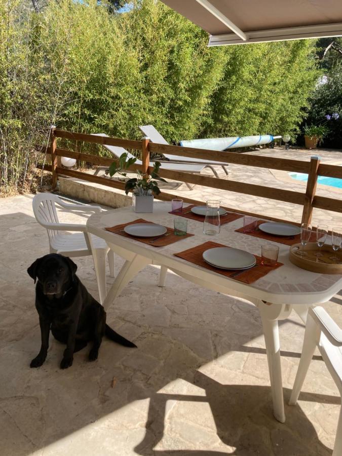 Appartement Superbe T2 Dans Entre Calanques Et Colline Marseille